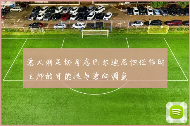 意大利足协考虑巴尔迪尼担任临时主帅的可能性与意向调查